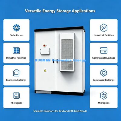 Ciclo di vita lungo 215 kWh 768 V industriale ESS | Accumulo di energia controllabile da remoto con la piattaforma EMS
