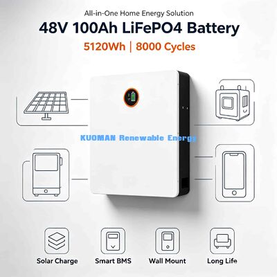 Batteria al litio da 48V da montare a parete con monitoraggio Bluetooth dell'app mobile per dati SOC e temperatura