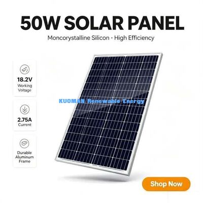Pannello solare ad alta efficienza da 50W, tensione di sistema 700V, alimentazione sicura fuori rete