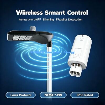 Lampione stradale a LED dimmerabile Smart DALI, Controller singolo per lampione LoRa, Progetto di illuminazione intelligente per villaggi