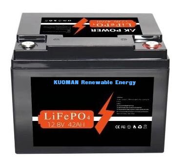 537.6Wh 12V 40Ah Batteria al litio a ciclo profondo Batteria LiFePO4 per lo stoccaggio dell'energia e il carrello da golf