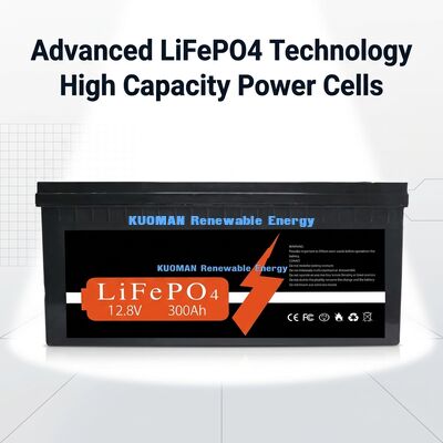 Batteria al litio personalizzata da 12V 300Ah con 3840Wh di energia e 8000 cicli di vita per lo stoccaggio dell'energia