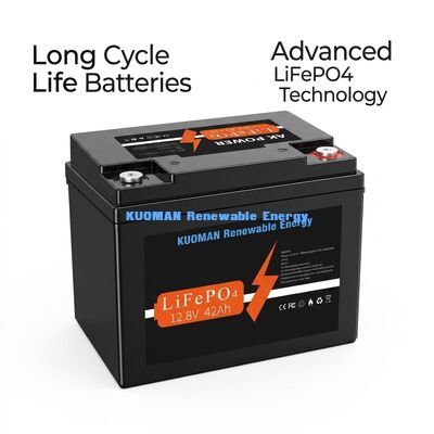 537.6Wh 12V 40Ah Batteria al litio a ciclo profondo Batteria LiFePO4 per lo stoccaggio dell'energia e il carrello da golf
