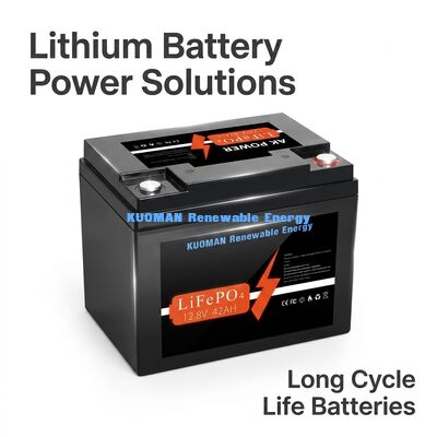 537.6Wh 12V 40Ah Batteria al litio a ciclo profondo Batteria LiFePO4 per lo stoccaggio dell'energia e il carrello da golf