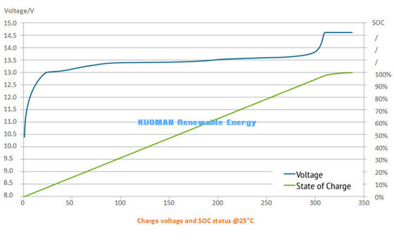 8000+ Ciclo 48V 300Ah LiFePO4 Batteria a parete    10 anni di conservazione solare domestica