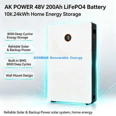 8000 Deep Cycle 51.2V 200Ah LiFePO4 Batteria a parete Smart BMS Home Power Solar Backup 10 anni di garanzia
