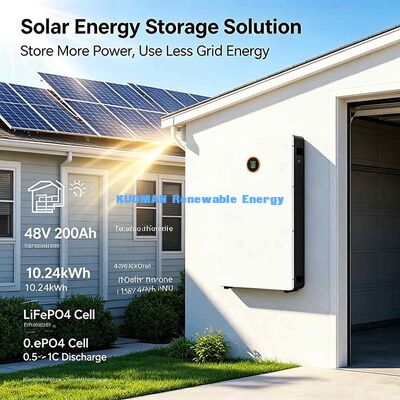 8000 Deep Cycle 51.2V 200Ah LiFePO4 Batteria a parete Smart BMS Home Power Solar Backup 10 anni di garanzia