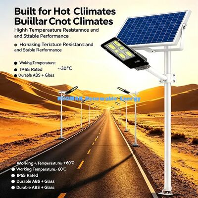 Off Grid No Cost di elettricità luce solare per strada per il parco agricolo