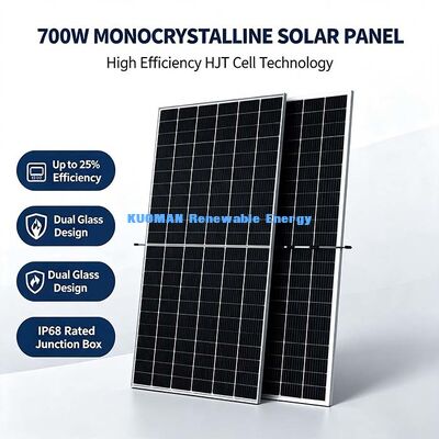 Fabbrica solare agricola con pannello bifaciale da 700 Watt, con aumento del guadagno di energia posteriore