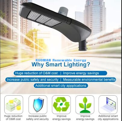 Lampada stradale intelligente IP65 LoRaWAN impermeabile, protezione da fulmini, uso in ambienti esterni difficili