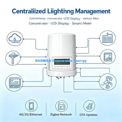 Sistema Professionale di Illuminazione Stradale Intelligente, Fornitore Completo di Soluzioni LoRaWAN Terminale-Gateway-Cloud